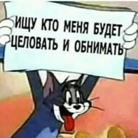 Feliks, 57טבריה