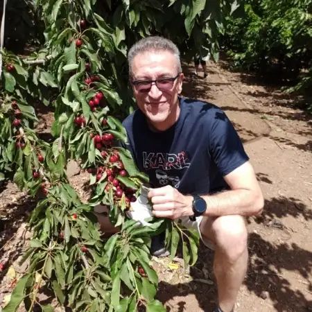 Michael, 55לוד 
