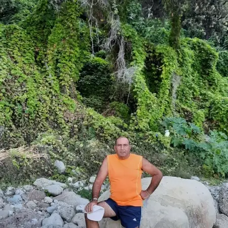 רוי, 59חולון 