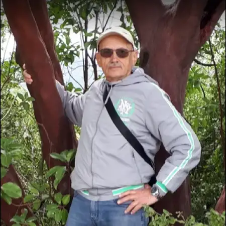 Alex, 73דימונה