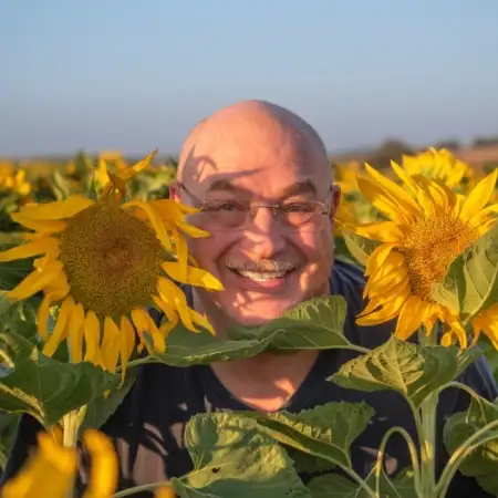 Mark, 67רחובות 