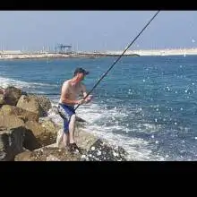 תמונה Haim 2 