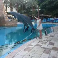 תמונה Anjela 1 
