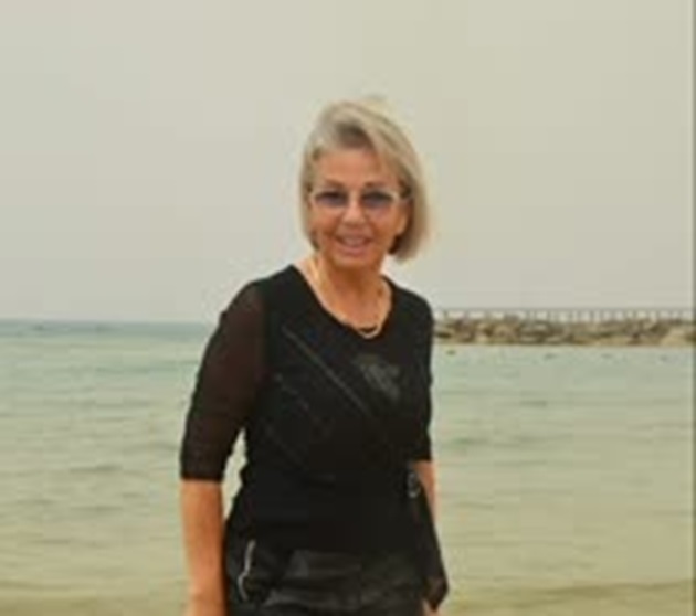 וידאו 1: תצוגה מקדימה